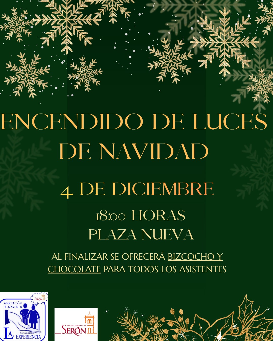 ENCENDIDO DE LUCES DE NAVIDAD